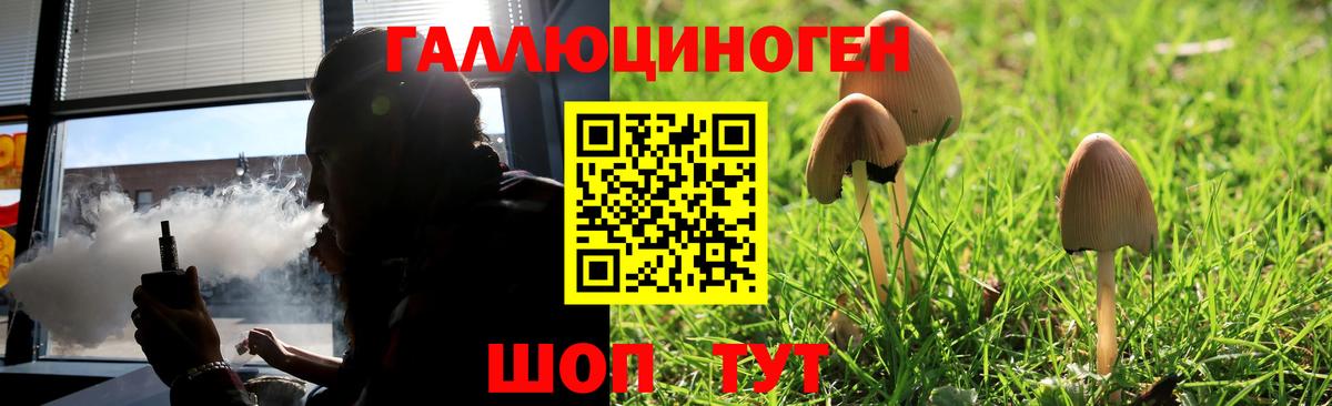 Галлюциногенные грибы Psilocybe  Псилоцибиновые грибы GOLDEN TEACHER  Красноперекопск  Вход с VPN 