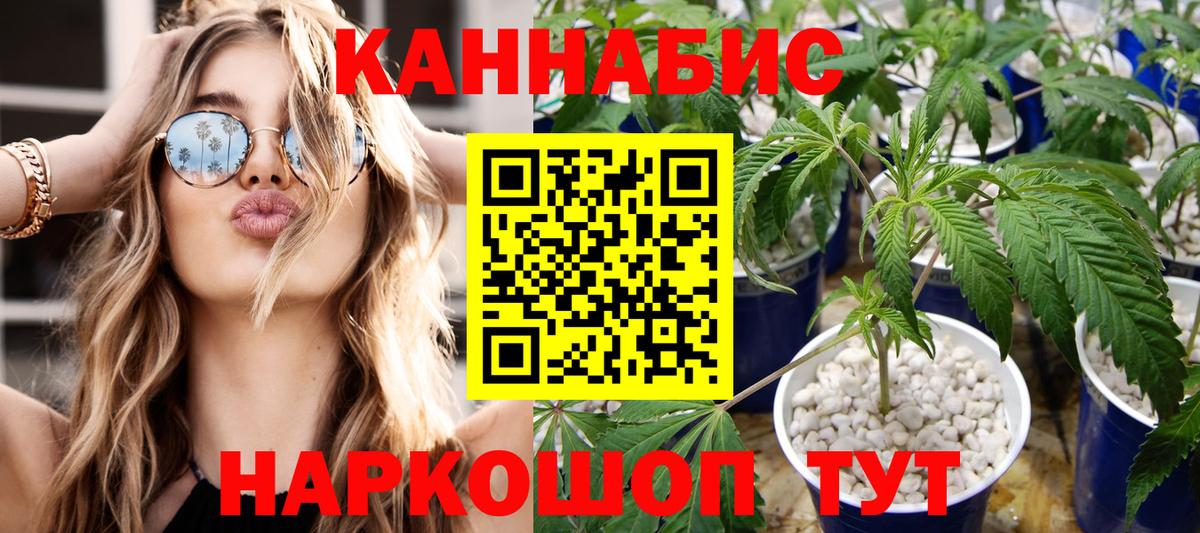 Шишки марихуана планчик Красноперекопск